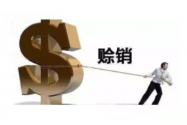 沈丘债务清欠服务